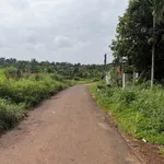 Bán nhà vườn 884m² view ao suối, Eakao, Đắk Lắk - Ảnh thu nhỏ 2