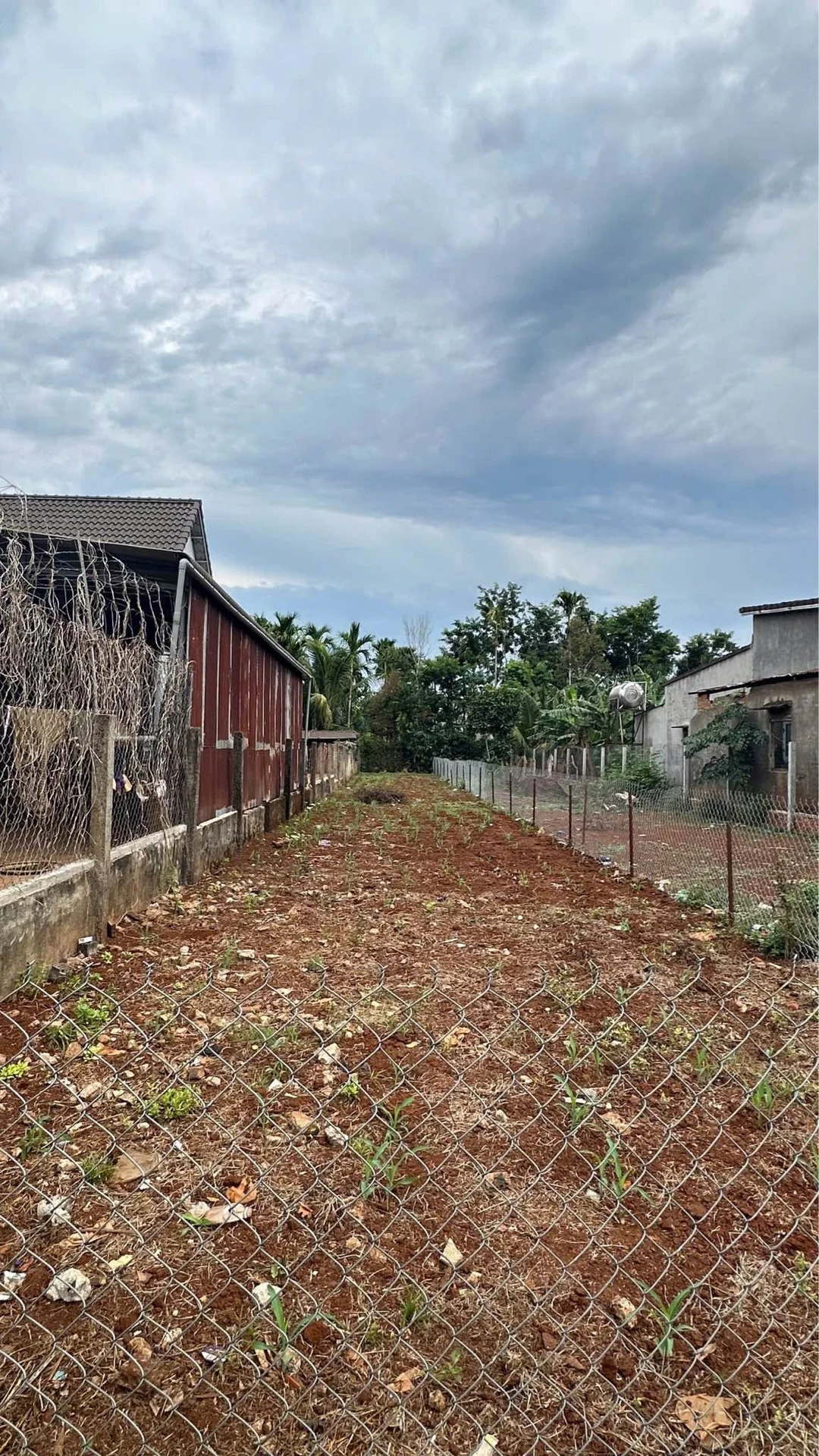 Bán đất mặt tiền đường N3, Buôn Mã Thuột, 265m² - Ảnh 1