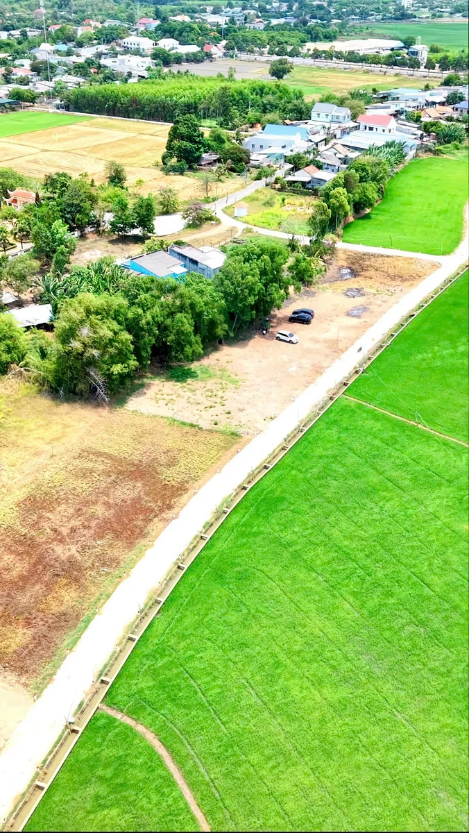 Bán đất 139m² Xã Phước Hải, Bà Rịa - Vũng Tàu, 650 triệu - Ảnh thu nhỏ 3