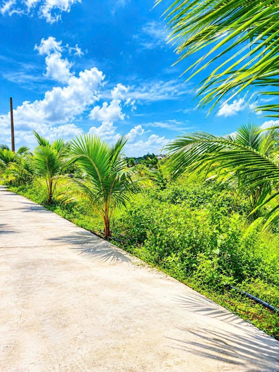 Bán 1 sào đất 1.000m² có 200m² thổ cư, mặt tiền 37m gần trung tâm Long Khánh - Ảnh thu nhỏ 4