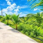 Bán 1 sào đất 1.000m² có 200m² thổ cư, mặt tiền 37m gần trung tâm Long Khánh - Ảnh thu nhỏ 4