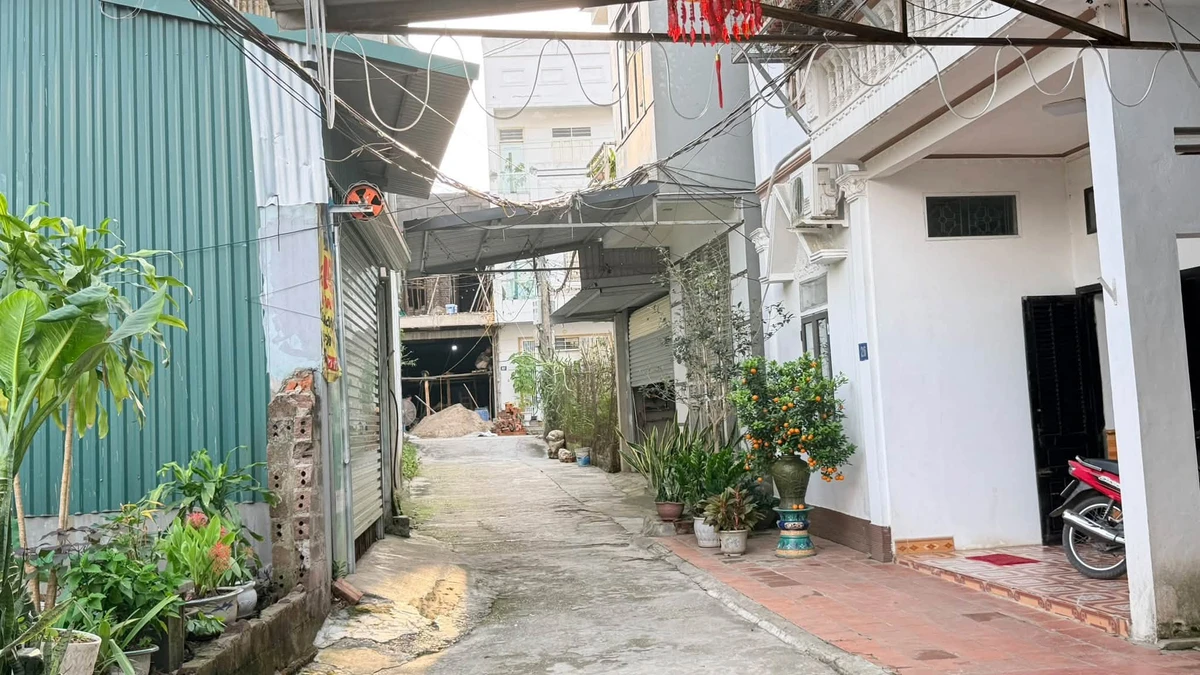 Bán đất nội thị xã Phú Thọ ~100m2, 1 tỷ - Ảnh thu nhỏ 2