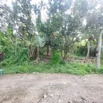 Bán nền 400m2 xã Phú Nhuận, Bến Tre 800 triệu - Ảnh thu nhỏ 2