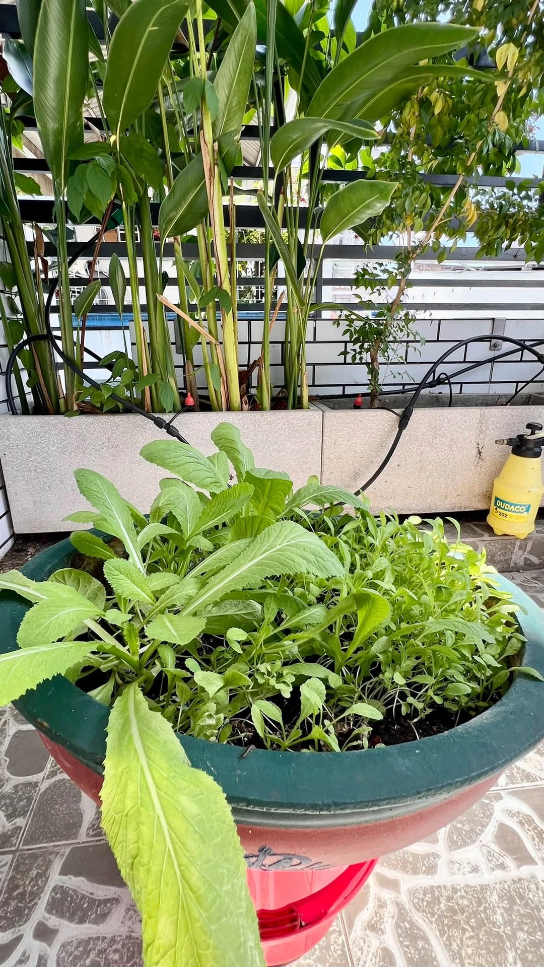 Bán nhà 4 tầng 105m² Quận 4 giá 5 tỷ 290 triệu - Ảnh 1