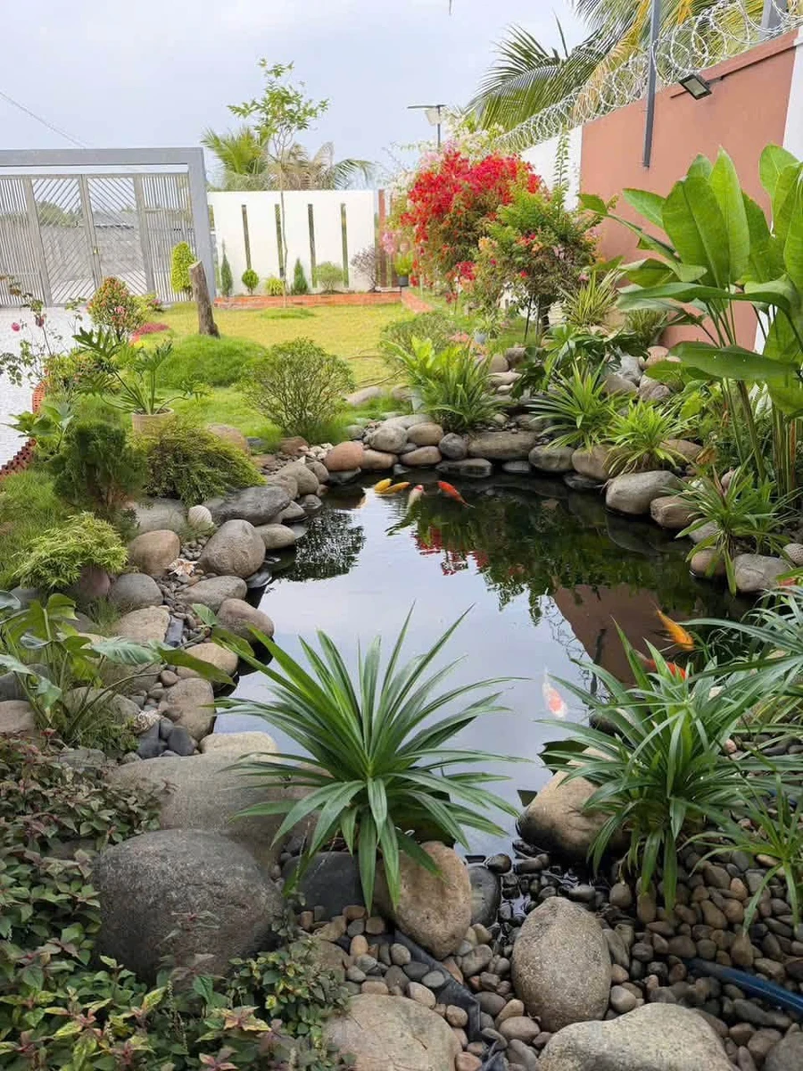 Bán đất vườn sinh thái 1100m2, 2 phòng ngủ, Bình Tân - Ảnh thu nhỏ 5