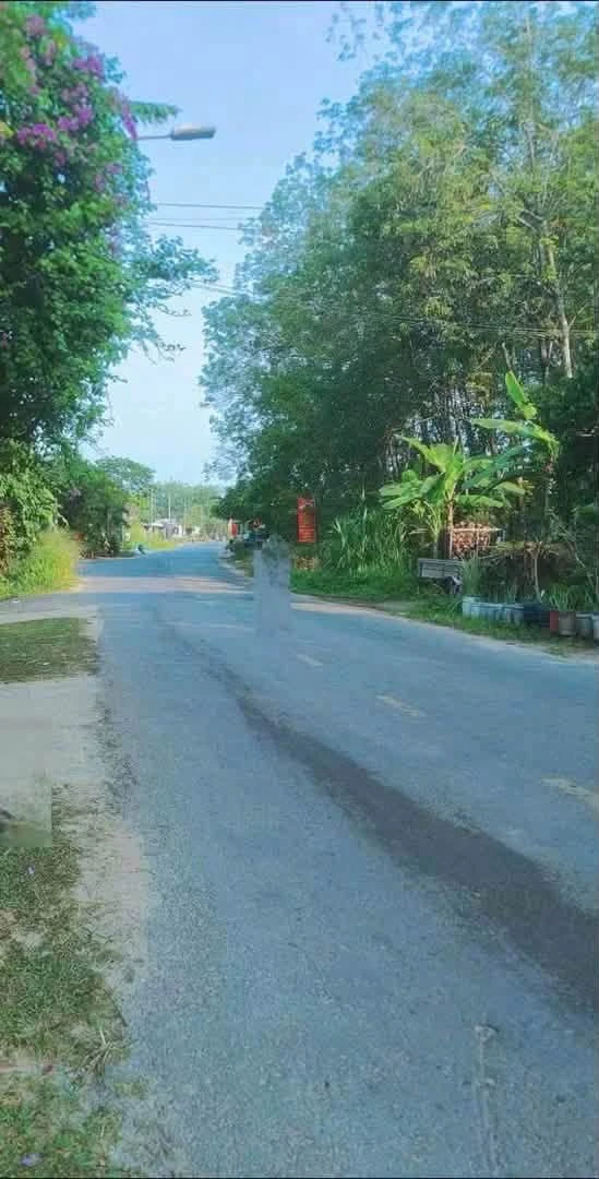 Bán lô đất mặt tiền An Tây, Bình Chánh, 304m², 2.7 tỷ - Ảnh 1