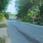 Bán lô đất mặt tiền An Tây, Bình Chánh, 304m², 2.7 tỷ - Ảnh thu nhỏ 1