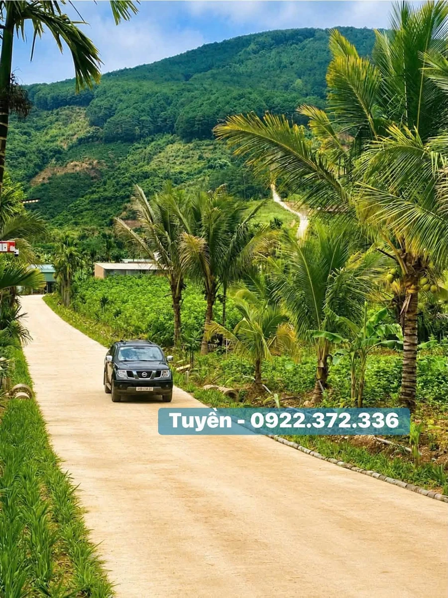 Bán đất view đồi thông Nam Ban Đà Lạt 350m² - Ảnh thu nhỏ 2