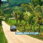 Bán đất view đồi thông Nam Ban Đà Lạt 350m² - Ảnh thu nhỏ 2