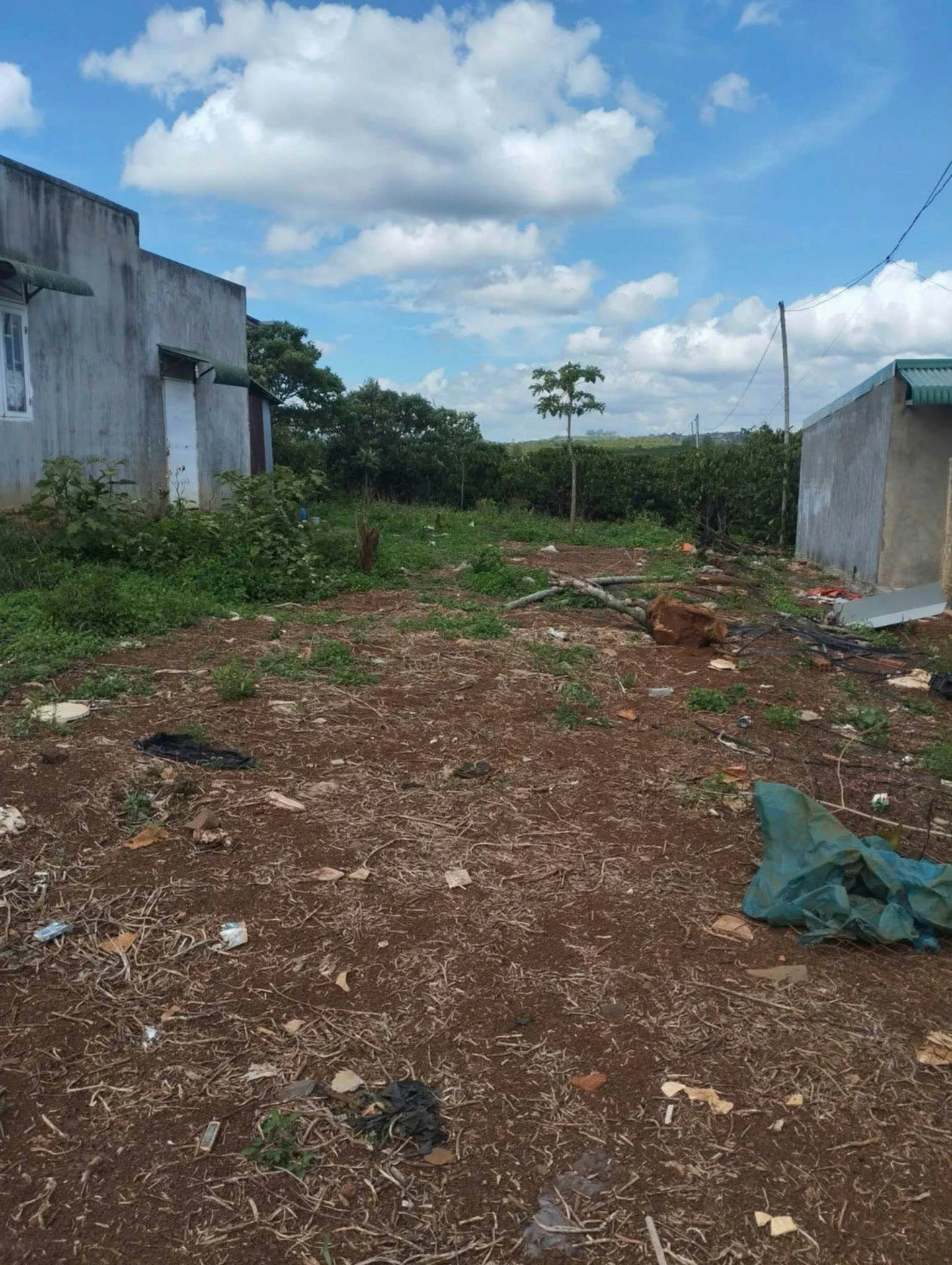 Bán đất Tân Châu, 3000m², 1,4 tỷ - Ảnh 1