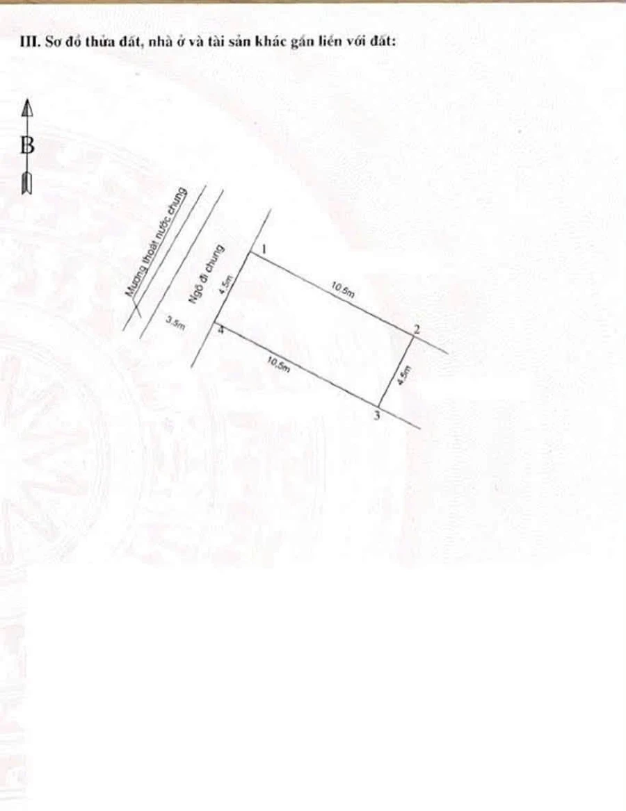 Bán đất Hồng Bàng 47,5m² 1,5 tỷ - Ảnh thu nhỏ 2