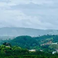 Chỉ 370 Triệu Sở Hữu Lô đất Gần Chùa Linh Ẩn, Sẵn Thổ Cư, SHR Công Chứng Ngay - Ảnh thu nhỏ 10