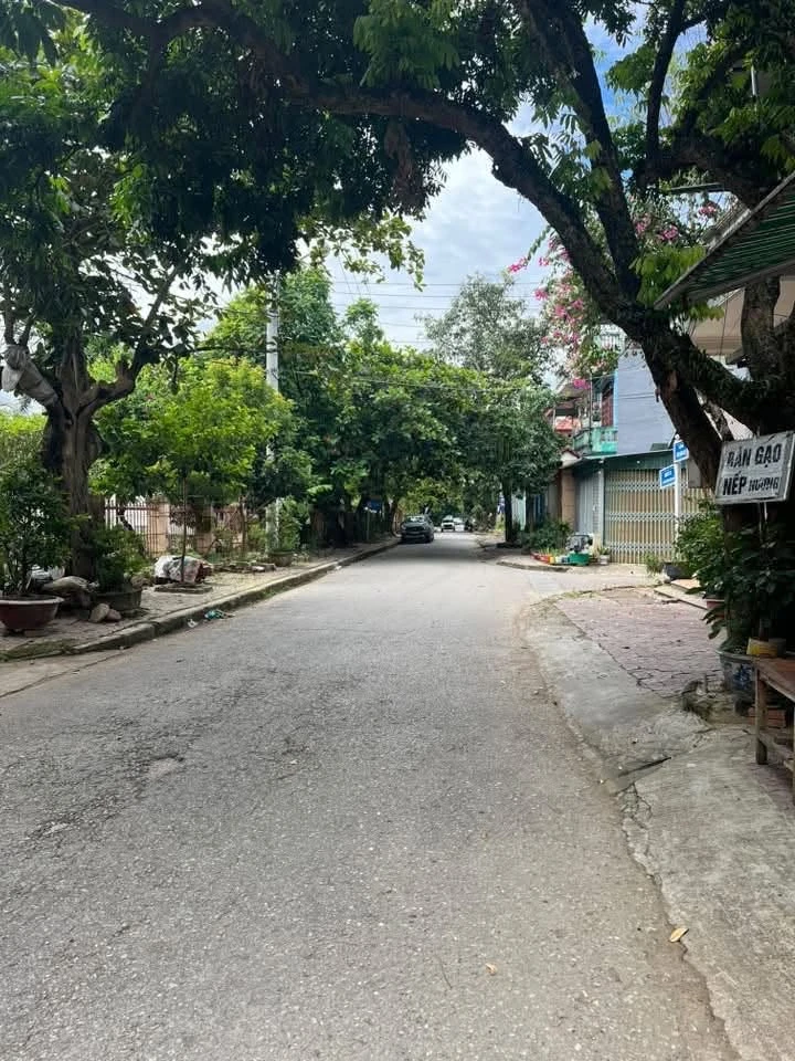 Bán nhà đất 98.4m² Phường Thanh Bình, vừa ở vừa kinh doanh - Ảnh thu nhỏ 4