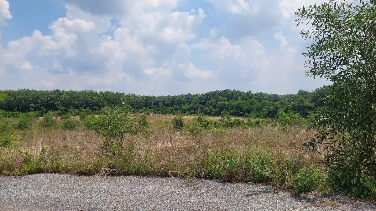 Bán đất 24.500m² Tân Uyên, giá 20 tỷ - Ảnh thu nhỏ 5