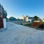 Bán lô đất thổ cư mặt tiền tại Tiến Lợi 114m² - Ảnh thu nhỏ 4