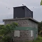 Bán lô đất 2200m2 Diên Khánh Khánh Hòa - Ảnh thu nhỏ 4