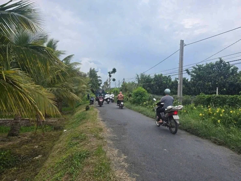 Bán lô nhựa 104m² Tân Long Hội Mang Thít Vĩnh Long 299 triệu