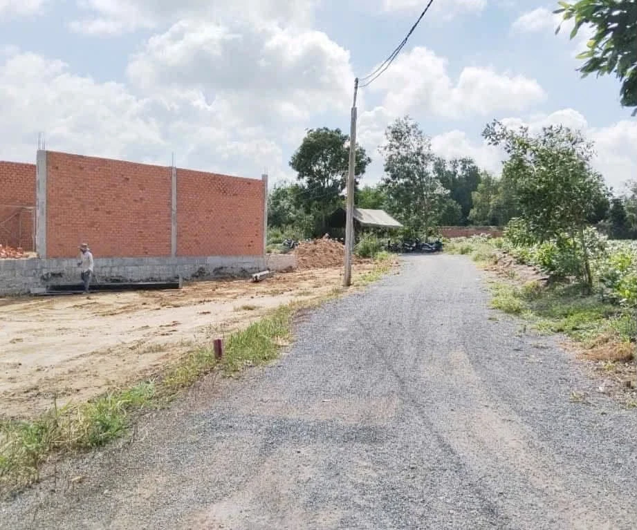 Bán đất 5x20m (100m2, 80m2 thổ cư) đường ô tô tại Tam An, Long Điền - Ảnh thu nhỏ 2