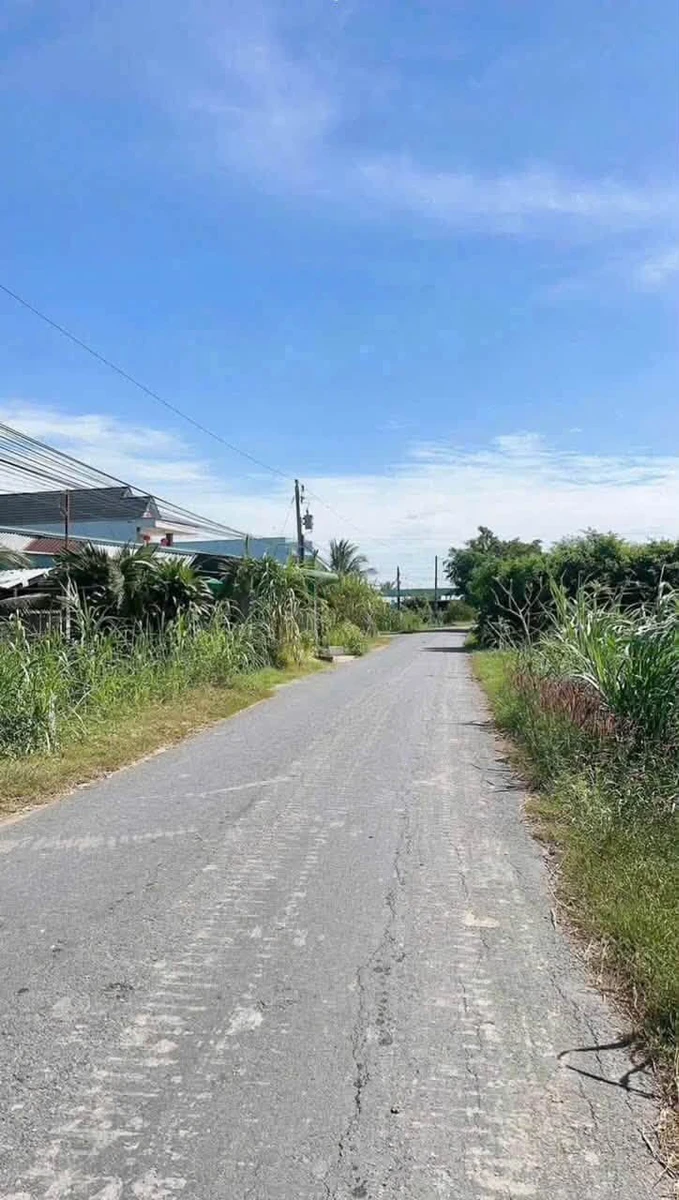 Bán 1100m² đất lúa mặt tiền Phạm Văn Thành, Tân An, Long An - Ảnh 1