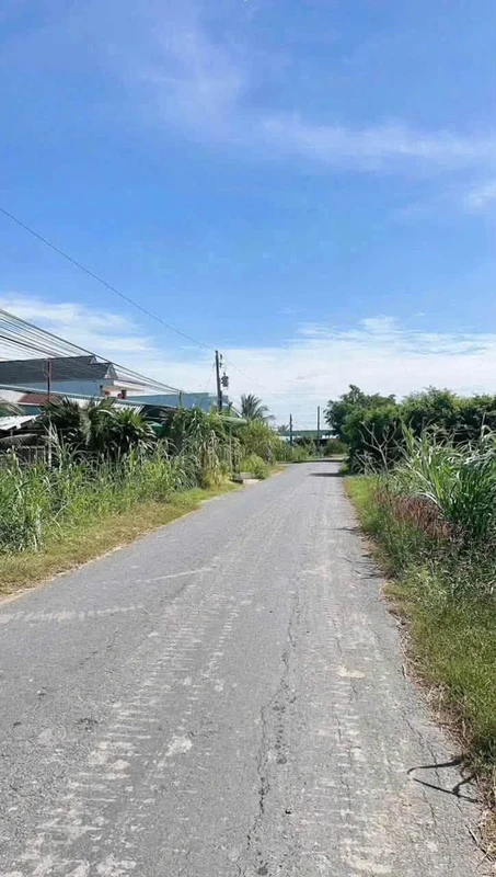 Bán 1100m² đất lúa mặt tiền Phạm Văn Thành, Tân An, Long An