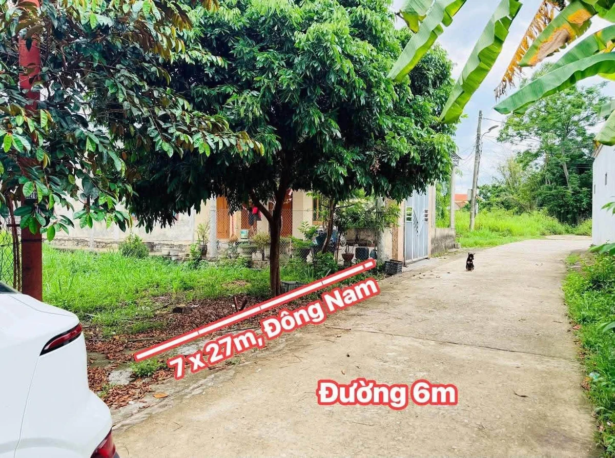 Bán đất 7x27m gần Phan Đình Phùng, Tân Bình 8xx triệu - Ảnh 1