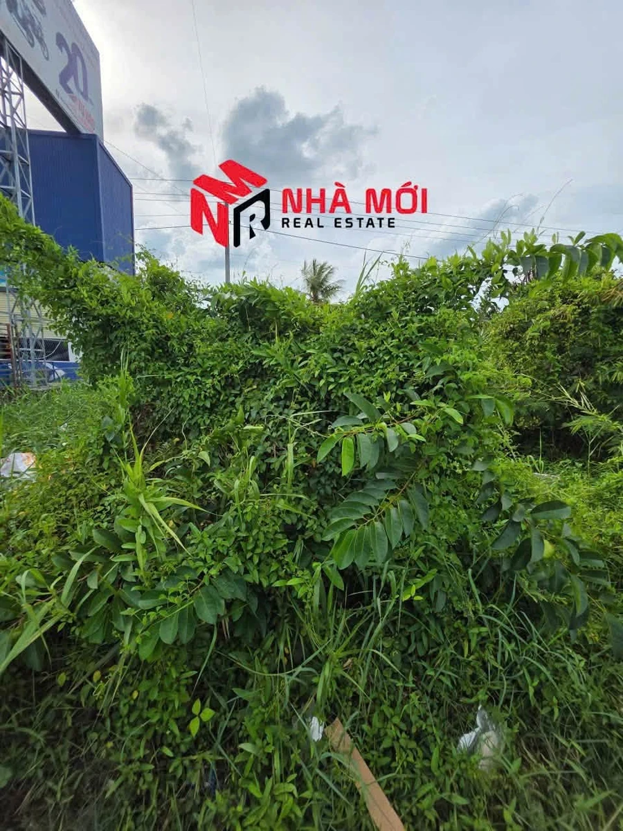 Bán đất mặt tiền QL1A 8.493m² Cà Mau, giá 3 tỷ - Ảnh thu nhỏ 3