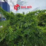 Bán đất mặt tiền QL1A 8.493m² Cà Mau, giá 3 tỷ - Ảnh thu nhỏ 3