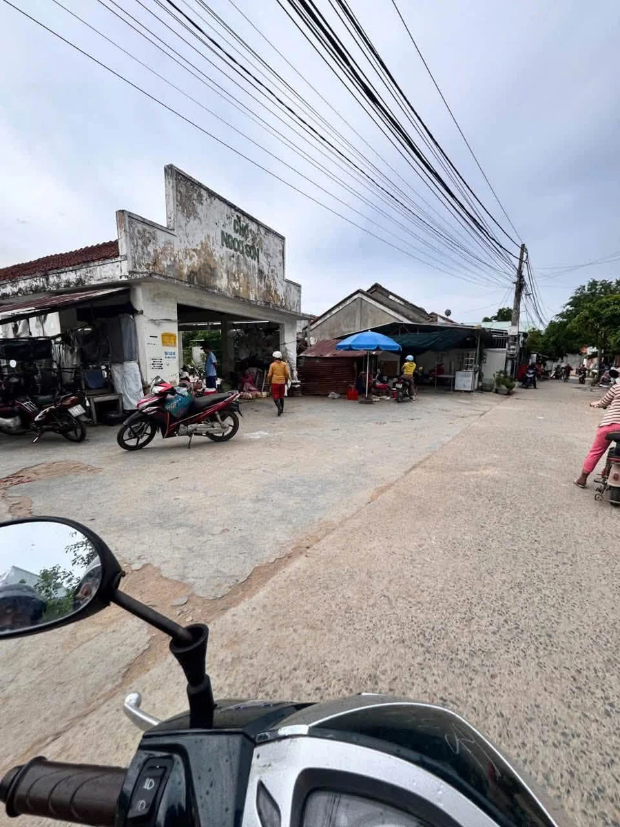 Bán vườn trái cây 900m² Phú Hoà 2 Nhà Bè - Ảnh thu nhỏ 2