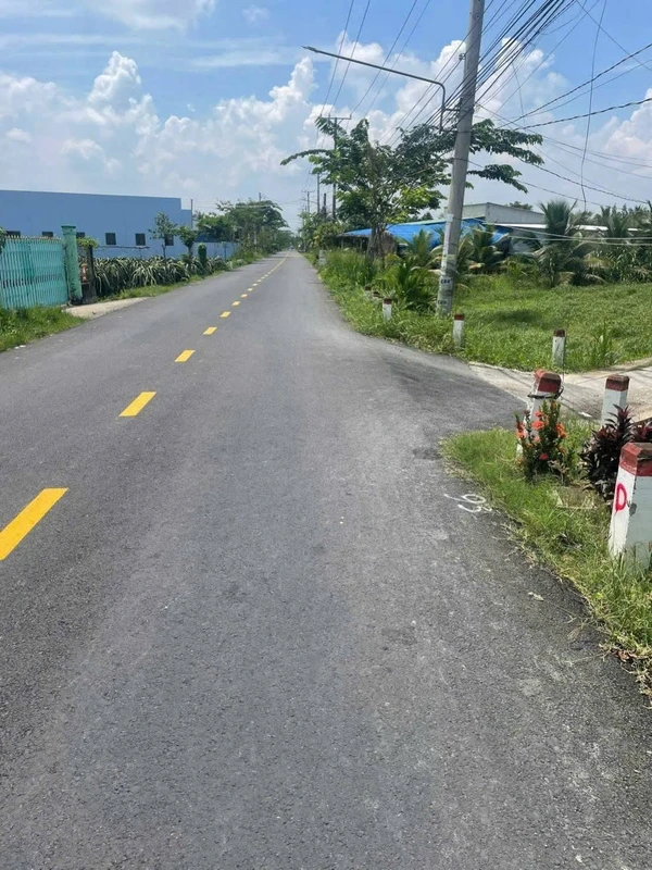 Bán 1000m2 đất lúa Châu Thành Long An 1,5 tỷ