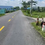 Bán 1000m2 đất lúa Châu Thành Long An 1,5 tỷ - Ảnh thu nhỏ 1