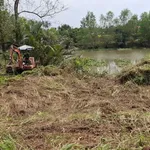 Bán đất Phú Túc Châu Thành Bến Tre 1538m² 1.4 tỷ - Ảnh thu nhỏ 3