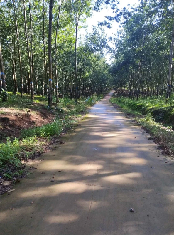 Bán đất Tân Phước Đồng Phú 1.6ha, 1.8 triệu/m2