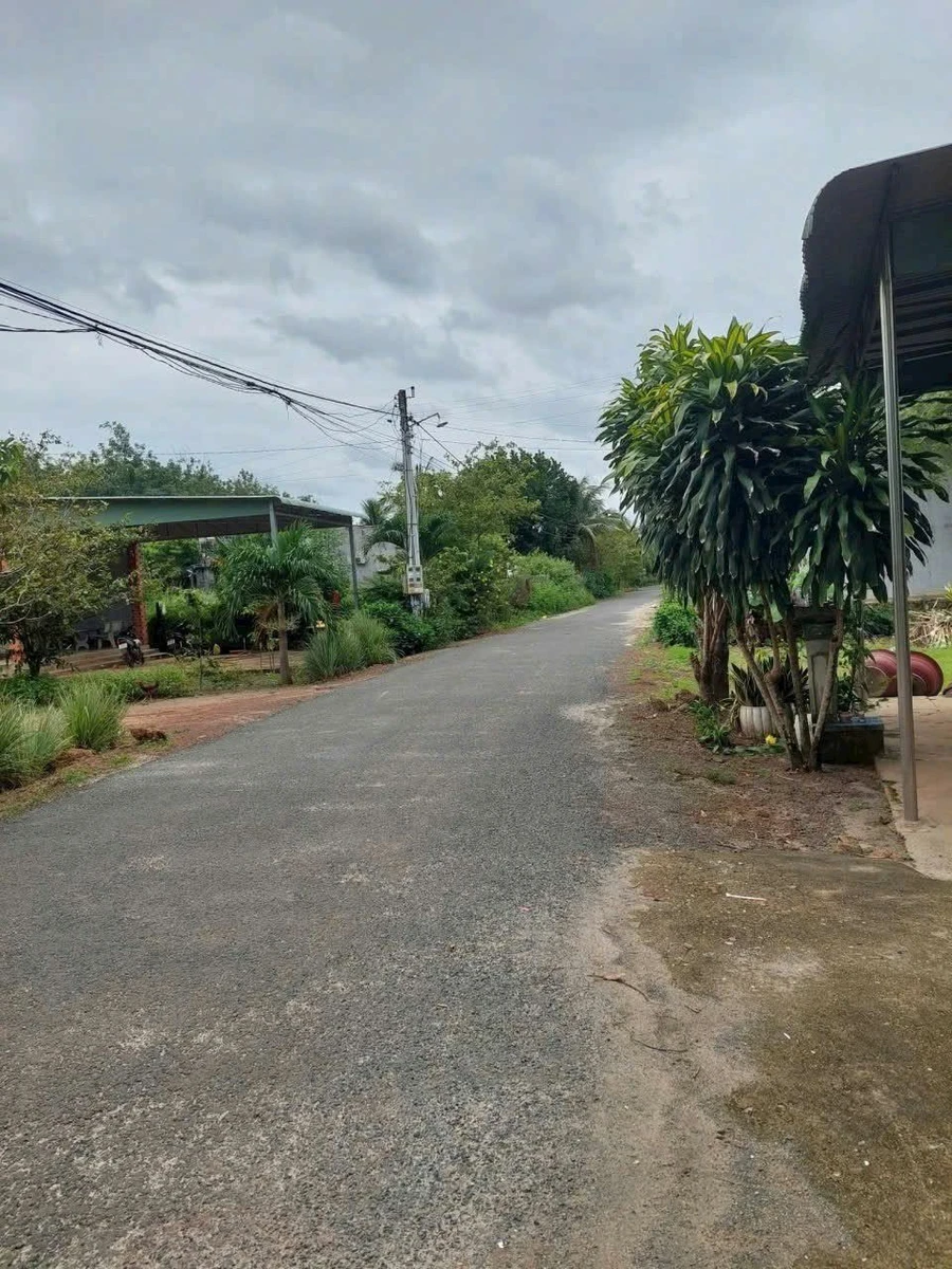Bán đất Tân Hội Tây Ninh 7857,5m² giá 90tr/m² - Ảnh 1