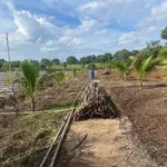 Bán đất nông nghiệp 8460m² (hơn 9 sào) Đắk Nông giá 1 tỷ 500 triệu - Ảnh thu nhỏ 3