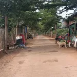Bán lô đất 450m Đăk Đoa, Gia Lai khu dân cư đông đúc, 300m đến đường Quốc lộ 19B - Ảnh thu nhỏ 2