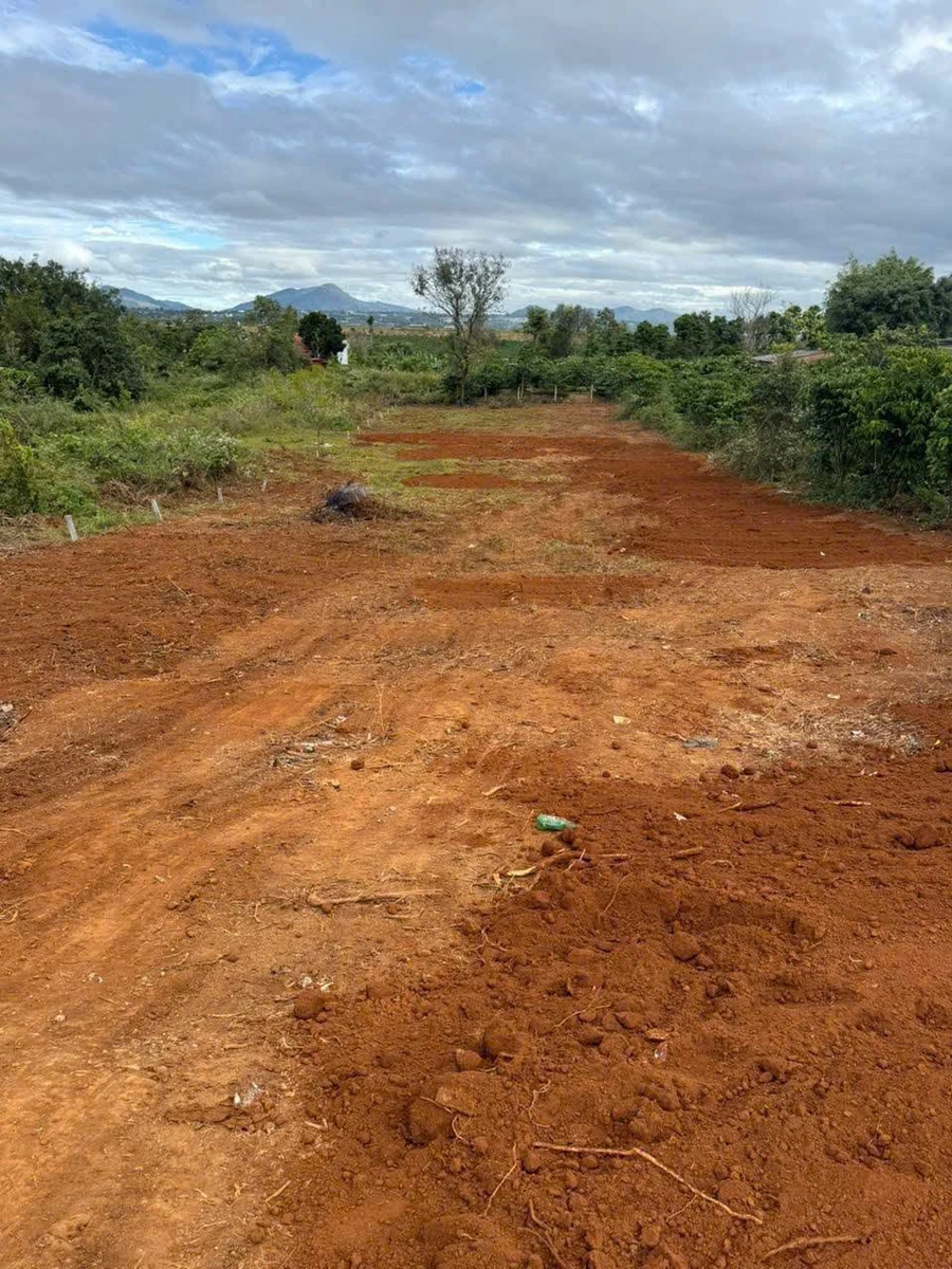 Bán đất hẻm Bùi Dự Pleiku 175m² giá 1 tỷ - Ảnh thu nhỏ 3