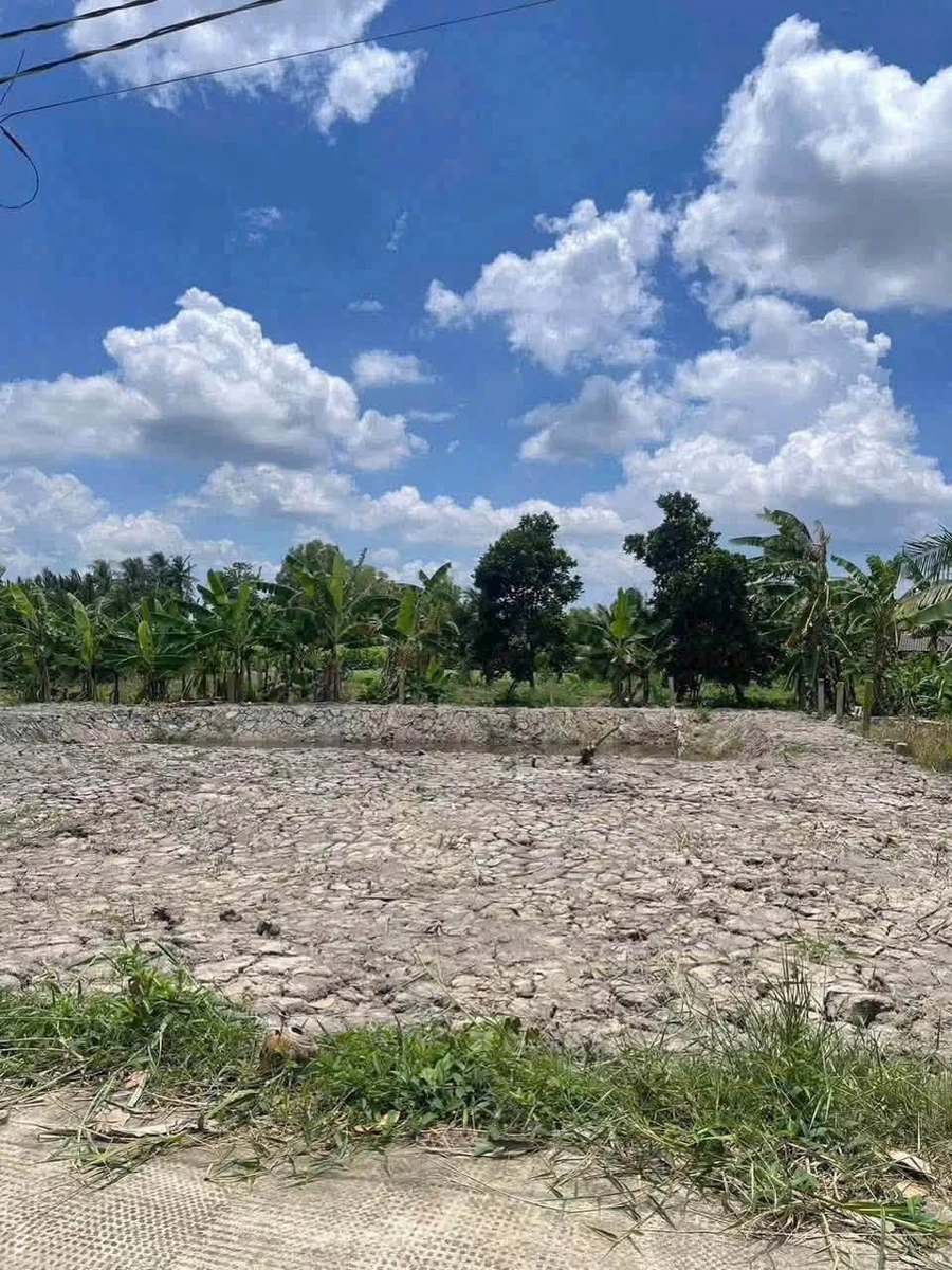 Bán đất vườn 1540m² Xã Vĩnh Công Tây Ninh giá 999 triệu - Ảnh thu nhỏ 2