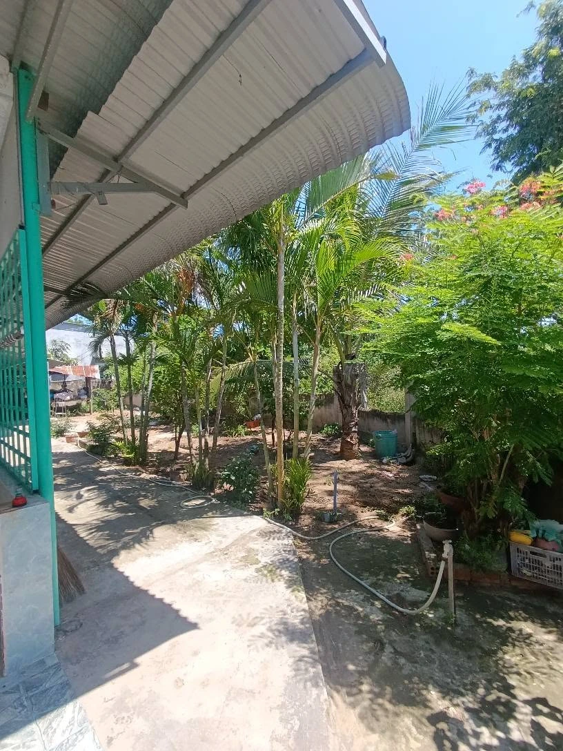 Bán nhà vườn 382 m² Ninh Phước Ninh Thuận 1,4 tỷ - Ảnh thu nhỏ 2