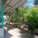 Bán nhà vườn 382 m² Ninh Phước Ninh Thuận 1,4 tỷ - Ảnh thu nhỏ 2