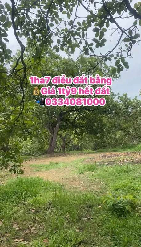 Bán 1ha7 đất nền mặt tiền 90m Phú Trung, Bình Phước