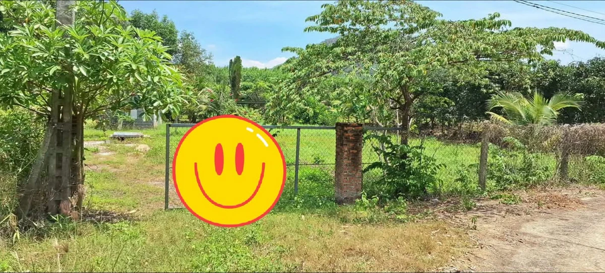 Bán lô đất 2200m2 Diên Khánh Khánh Hòa - Ảnh thu nhỏ 2