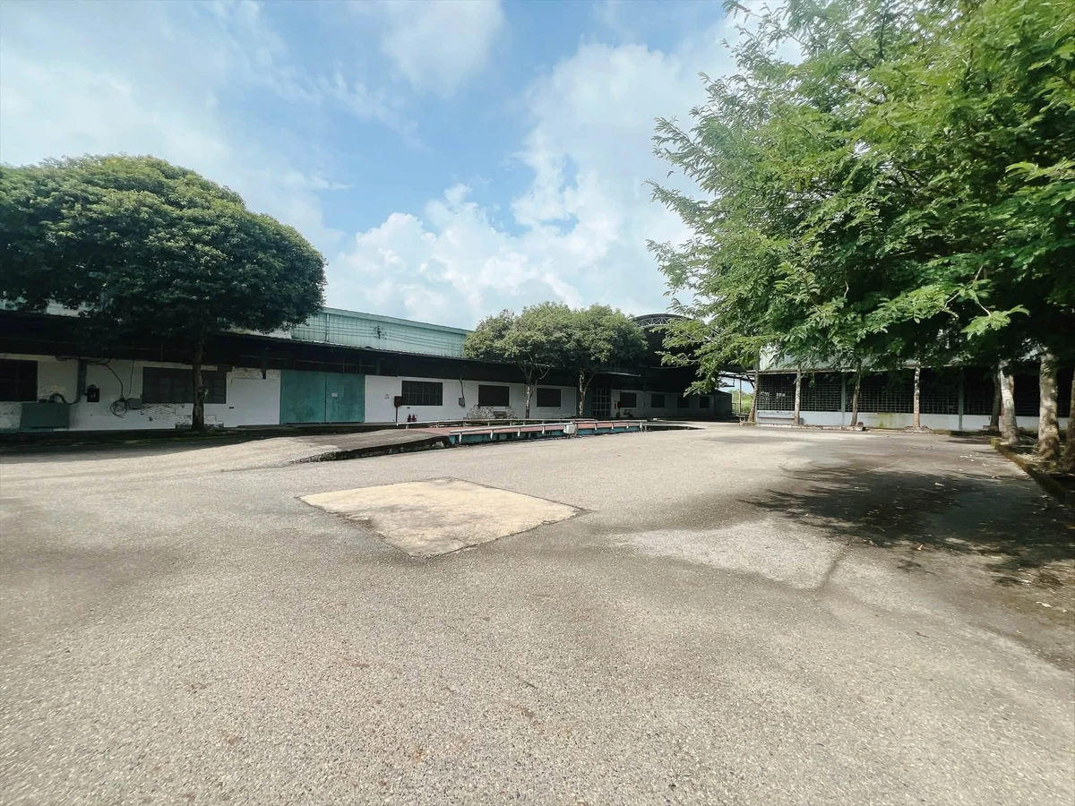 Cho thuê xưởng chế biến nông sản 20.000m² Đồng Nai - Ảnh thu nhỏ 3