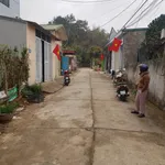 Bán lô đất 100m² thổ cư Tân Thanh, Bình Chánh - Ảnh thu nhỏ 2