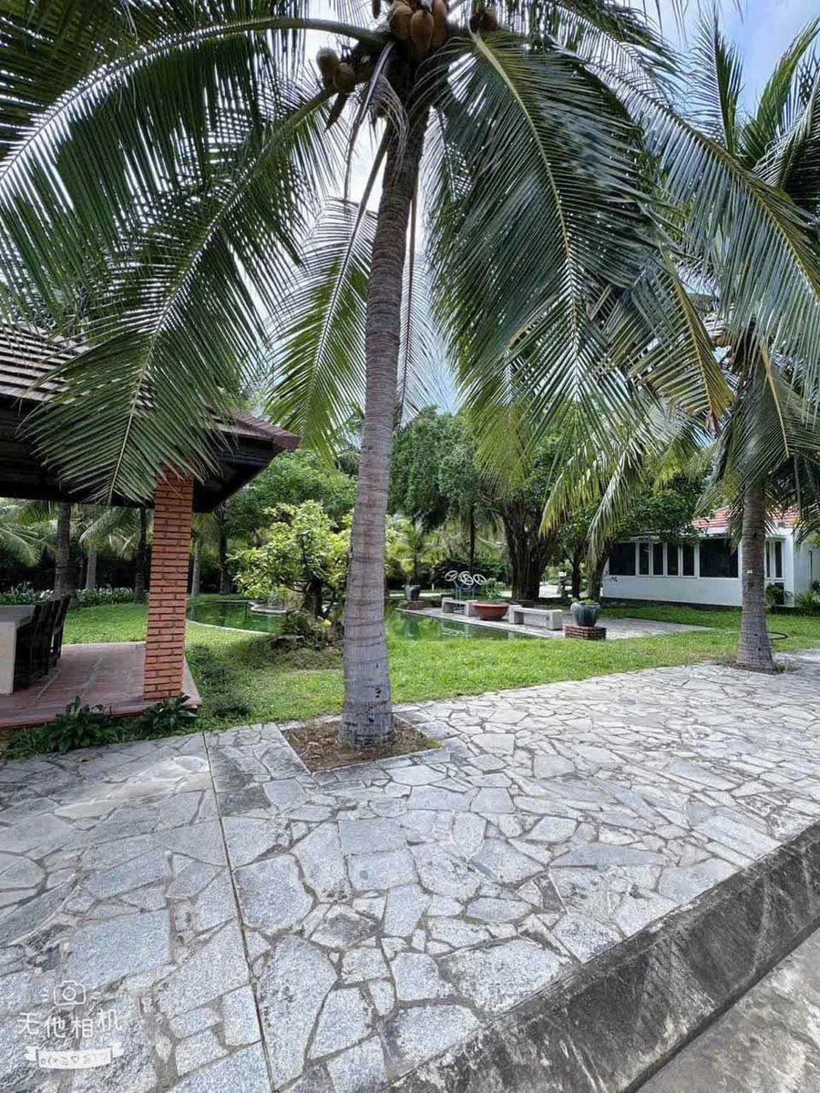Bán đất biệt thự 550m² Giáng Hương Nha Trang 9,625 tỷ - Ảnh thu nhỏ 3