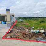 Bán đất thổ cư 516m² Tầm Vu Long An 850 triệu - Ảnh thu nhỏ 4