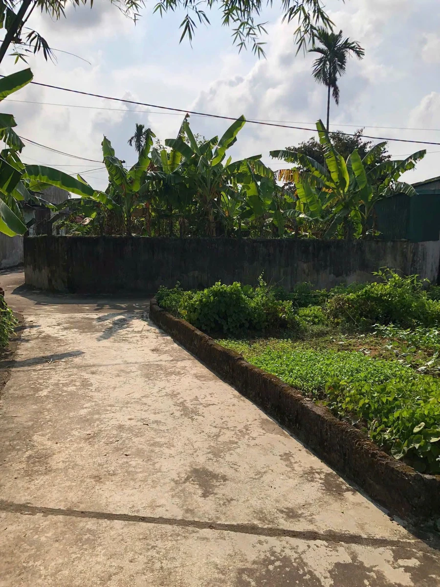 Bán 2 lô đất liên kề 205m² Sơn Thọ Nam Bình Tân - Ảnh thu nhỏ 3