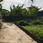 Bán 2 lô đất liên kề 205m² Sơn Thọ Nam Bình Tân - Ảnh thu nhỏ 3
