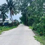 Bán đất lúa 1250m² Đức Hoà Tây Ninh 5 tỷ - Ảnh thu nhỏ 1