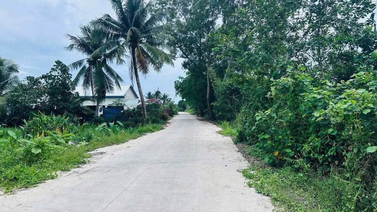 Bán đất lúa 1250m² Đức Hoà Tây Ninh 5 tỷ - Ảnh 1
