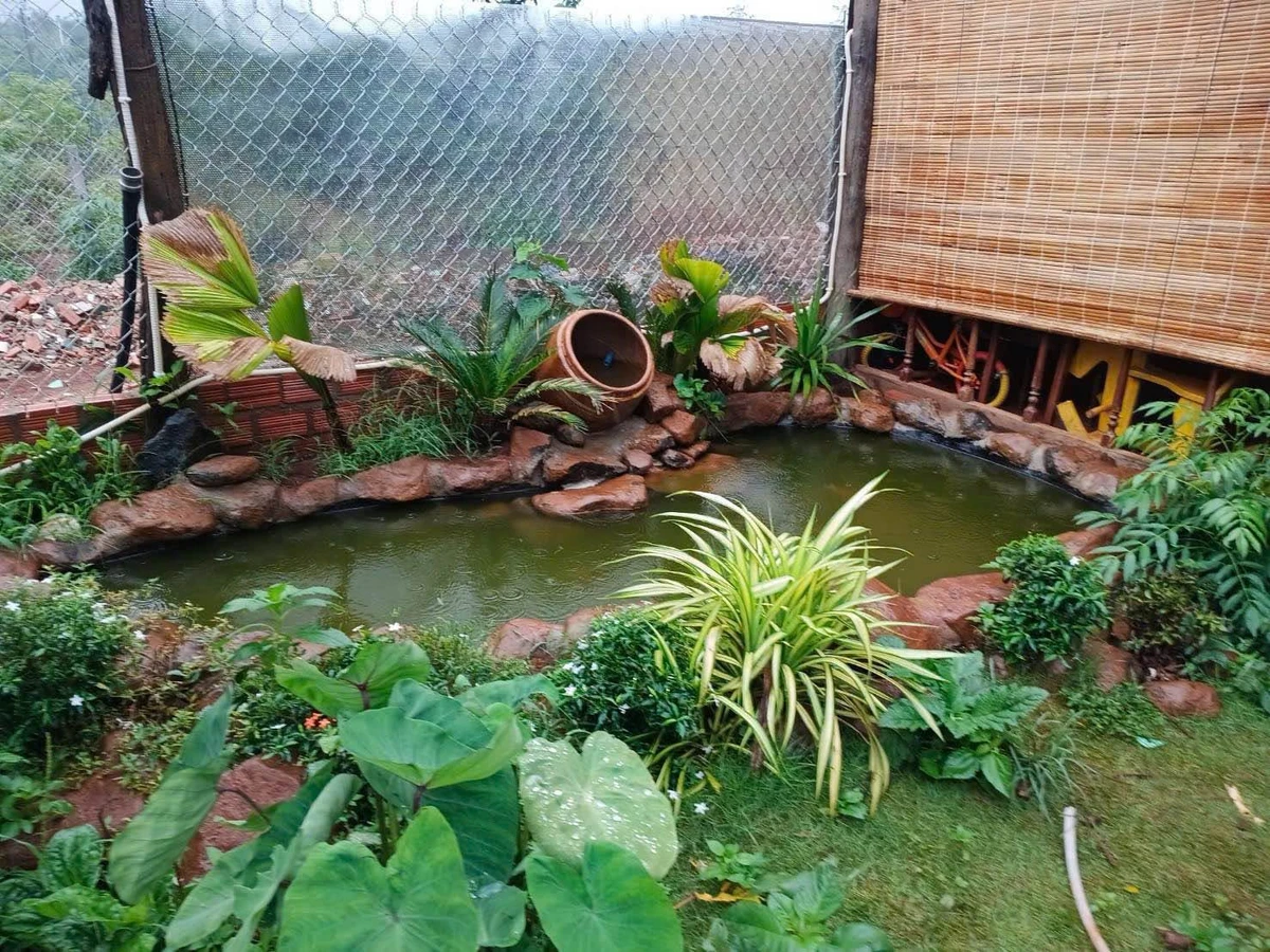 Bán đất vườn Thôn 6 Phạm Ngũ Lão 1039m², 2 tỷ 450 triệu - Ảnh thu nhỏ 2